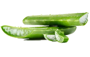 Регенератор